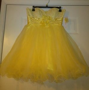 Tutu puffer dress